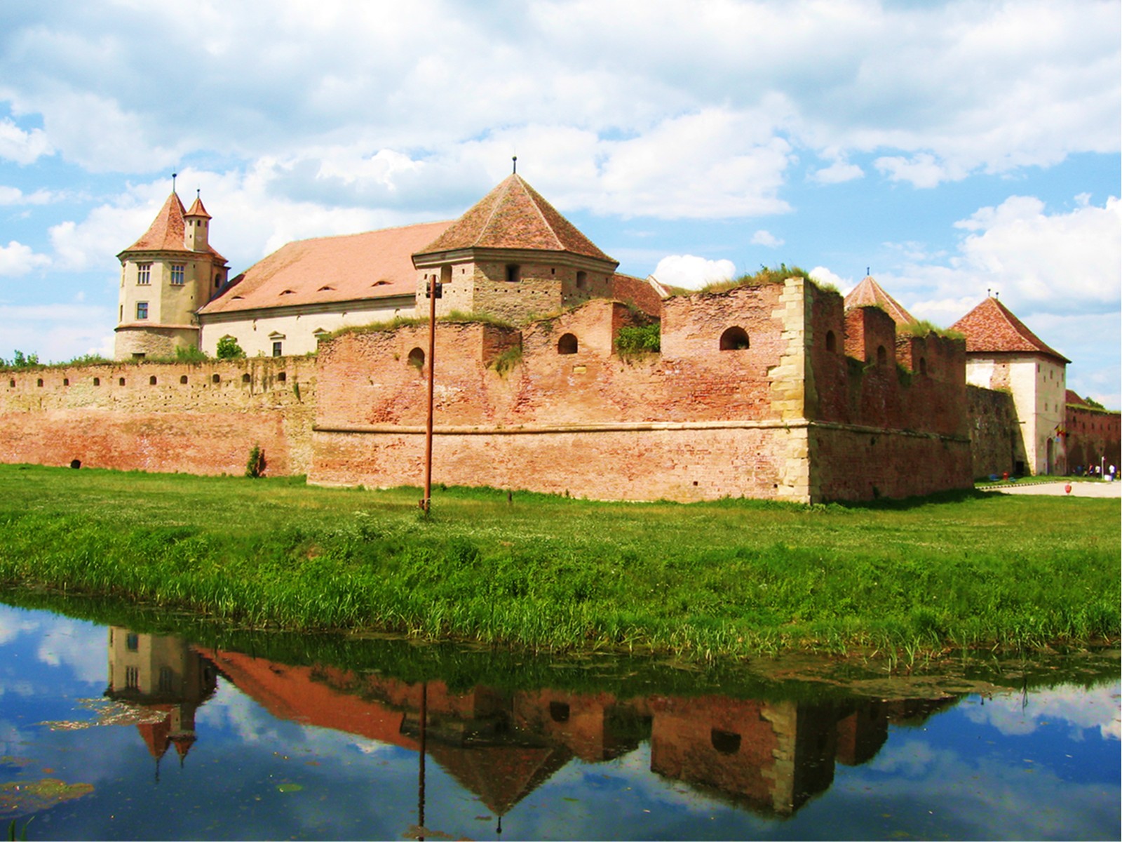 cetatea fagarasului , 650 years old